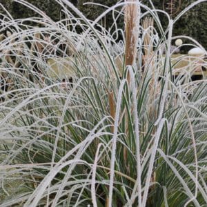 Monats-Channeling Februar 2025