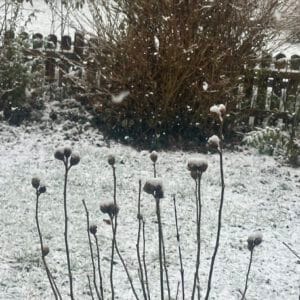 Monats-Channeling Januar 2026