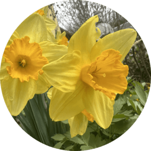 Monats-Channeling April 2026