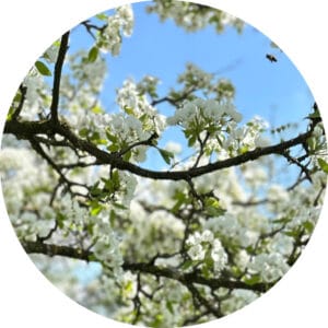 Monats-Channeling Mai 2026