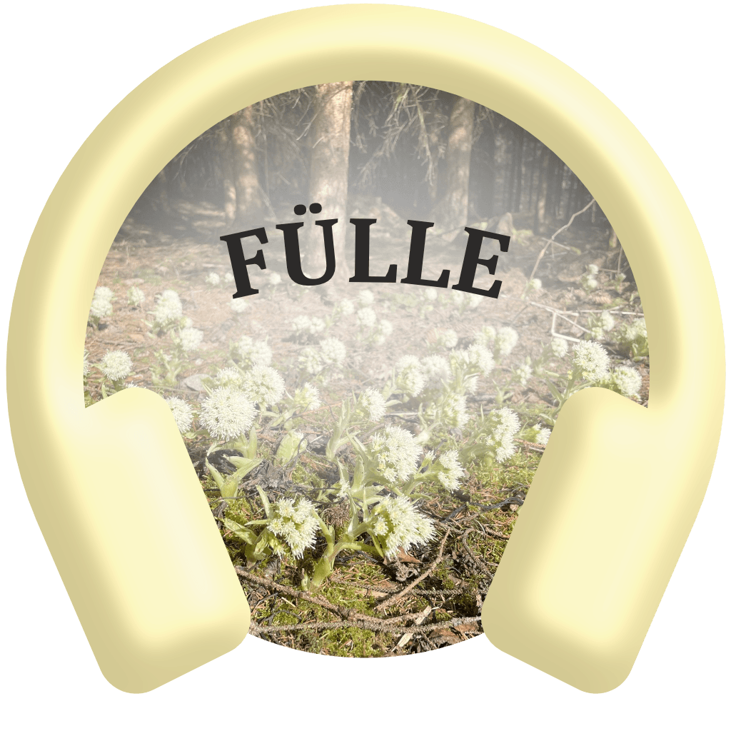 Heil-Meditation "FÜLLE" (MP3)