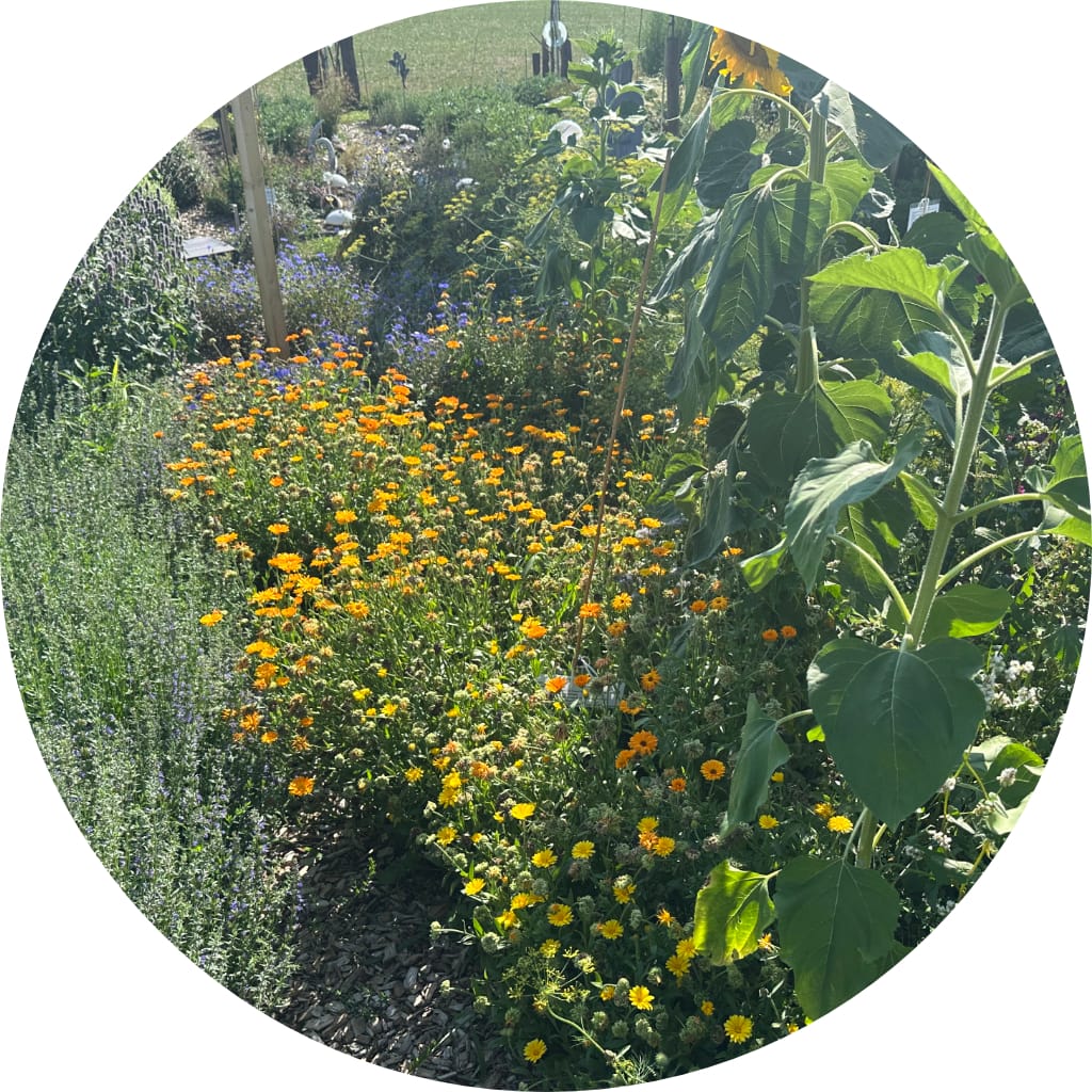 Monats-Channeling September